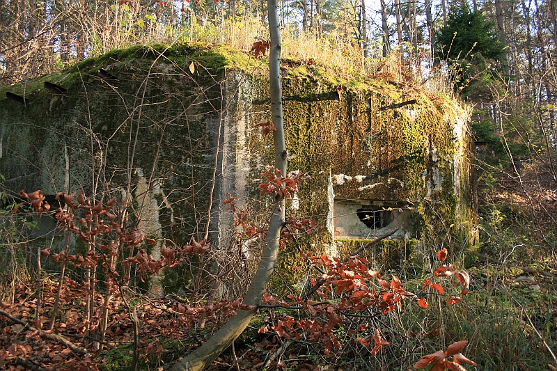 Rostoczek 11.2008 424